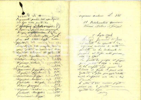 Tasse 1901 Avviso Vendita Piante 2di2