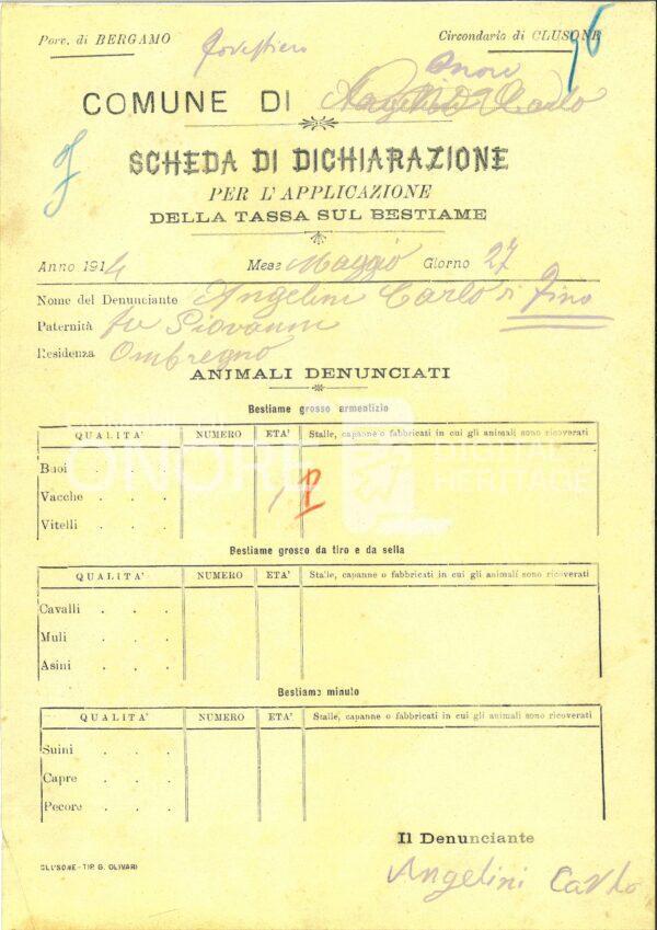 Tasse 1914 Scheda Di Dichiarazione Per L Applicazione Della Tassa Sul Bestiame Angelini Carlo 76