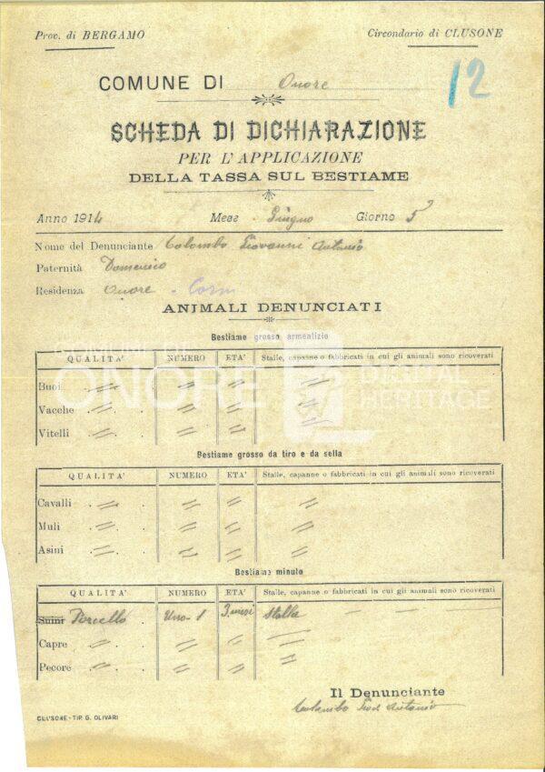 Tasse 1914 Scheda Di Dichiarazione Per L Applicazione Della Tassa Sul Bestiame Colombo Giovanni Antonio 12
