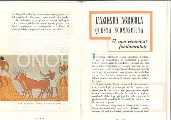 Doc 20250728 143100 0001