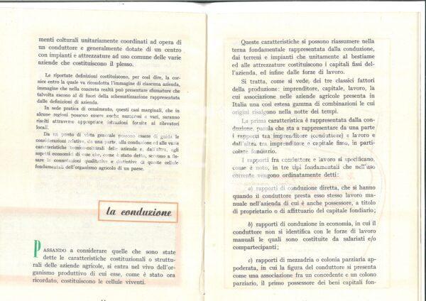 Doc 20250728 143136 0001