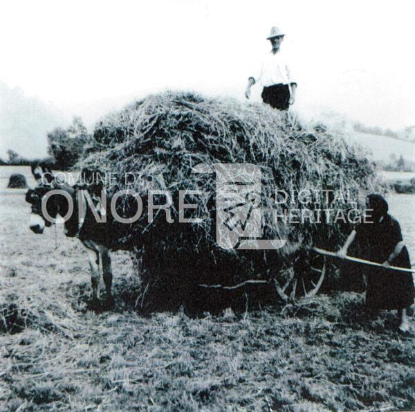 0136 Localita Ombregno