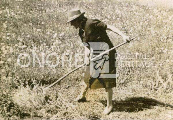 0163 Donne Nei Camoi